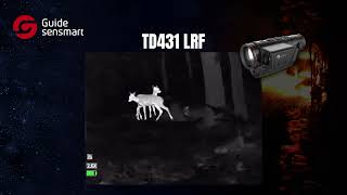 Прицел Veber Night Eagle R50